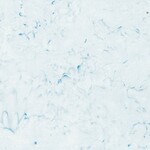 Hoff-1895-Snow-307